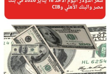 سعر الدولار اليوم الأحد 18 يناير 2026 في بنك مصر والبنك الأهلي وCIB