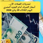 تحديثات العملات الآن.. أسعار الصرف أمام الجنيه المصري اليوم الثلاثاء 20 يناير 2026