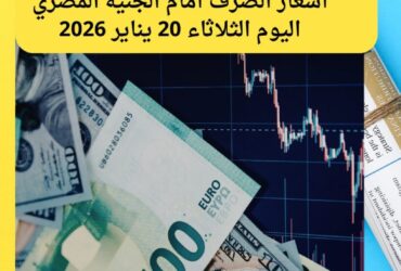 تحديثات العملات الآن.. أسعار الصرف أمام الجنيه المصري اليوم الثلاثاء 20 يناير 2026