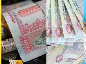 سعر الدرهم الإماراتي مقابل الجنيه المصري اليوم السبت 3 يناير 2026 بيعًا وشراءً 30 سعر الدرهم الإماراتي مقابل الجنيه المصري اليوم السبت 3 يناير 2026 بيعًا وشراءً