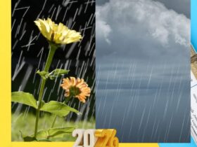 تحذير رسمي اليوم الجمعة 9 يناير 2026: سيول محتملة واضطراب شديد في الملاحة بعدة مناطق