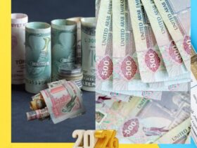 استقرار سعر الدرهم الإماراتي أمام الجنيه المصري اليوم الجمعة 9 يناير 2026 بالبنوك