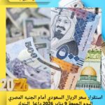 استقرار سعر الريال السعودي أمام الجنيه المصري اليوم الجمعة 9 يناير 2026 داخل البنوك